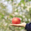 성균농장 이미지