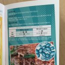 ES 헬스케어 이미지