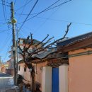 대능4리 이미지