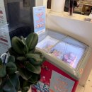 롯데프레시 광주수완점(2) | [라라코스트 광주수완점] 광주 가성비 양식, 수완지구 맛집 데이트코스 추천