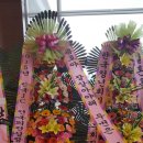 충남의전