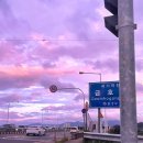 이디야커피 경산대평임당점 | 이디야 마이멜로디 딸기 플랫치노 &amp; 약과 쿠키바 I 이디야 산리오 이디야 신메뉴 리뷰