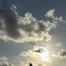 풍향칼국수 | 울릉도 2박 3일 뚜벅이 여행 [DAY2] 독도 접안 성공/까치식당 따개비칼국수/관음도/거북바위 스노쿨링