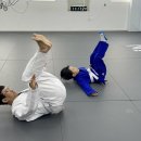 아트유도