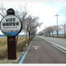 남대천제방길 이미지