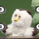 딩동댕 - 하남시 미사강변중앙로 223 | 딩동댕