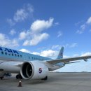 small but(스몰 벗) | [제주] 제주시 카페, 소품샵 추천 - 공생(共生), 스몰띵스벗(small things but)