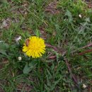 원경희한의원 이미지