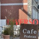 명지애견 이미지