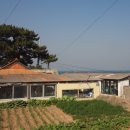 나정2리 이미지