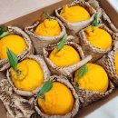 (주)올제 이미지