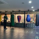 코리안 복싱센터 이미지