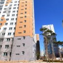 금동초교병설 이미지