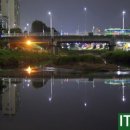 증산2교밑 네이버블로그