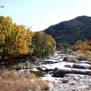 거창-위천-1 이미지