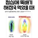 감기 걸려 승질머리 폭발했던 24년 8월 일상 / 08.01 - 08.21