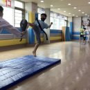 한국체대스타태권도장 이미지