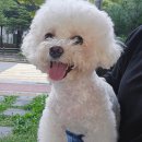 24시 당신의 동물의료센터 이미지