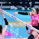 흥국생명 이미지