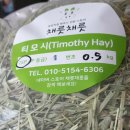 채릇채릇 이미지