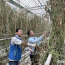 운봉읍 산덕마을 이미지