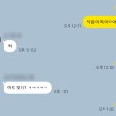 (주)도원투어 | 마이애미 접수하고 온 썰