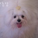 호선농장 이미지