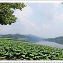 머리풍경 이미지