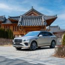 The 카모터스 이미지