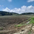 삼봉3리마을회관 이미지