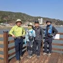 율포솔밭해변1 이미지