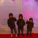 알프스얼음보석궁전 이미지