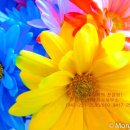 토지보상행정사 이미지