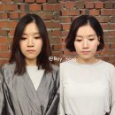 로이 이미지