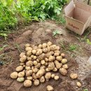 인건농장 이미지