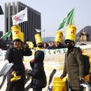 나비,날아오르다 이미지