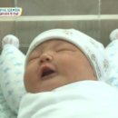 땡글이