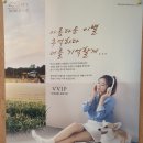 노블레스펫