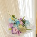 신월동247 이미지