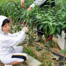 준식농장 이미지