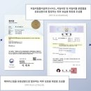 닥터스튜드