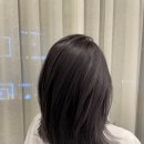 유신디자인 네이버블로그