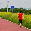 팽성대교길 이미지