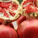 선명농장 이미지