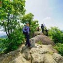 주봉산639m), 부대산(627m), 수리봉(518m), 고봉(459m) 충북 충주 이미지