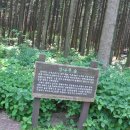 치유, 명상의 숲 Daum카페