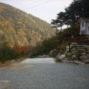 아카시아펜션 Daum카페