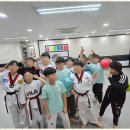 푸른태권도장 이미지