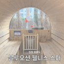 자연대로 | [인천 영종도] 핀란드식 사우나, 블루오션 웰니스 스파 찜질방 솔직후기