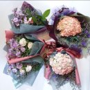 관저동 문예회관 이미지